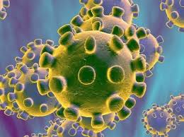 Virus de marburg sintomas / nipah: O Que E Coronavirus Veja Sintomas Riscos E Tratamento Da Covid 19