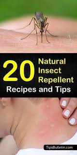20 Simple Organic Insect Repellents Natural Insect Repellant Organic Insect Repellent Insect Repellent
