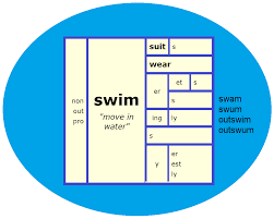 Word Matrix Swim Words Word Origins Speech Language Therapy