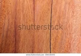 Image result for Xylia africana