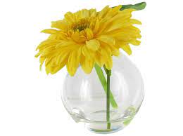 Yellow Daisy Wall Art Bella Vita 6 Yellow Gerbera Daisy Bud In Round Glass Vase Shop Daisy Wall Art Vase Vase Shop