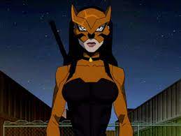 What Have You Done Young Justice Tigress Dc Dc Comics Characters