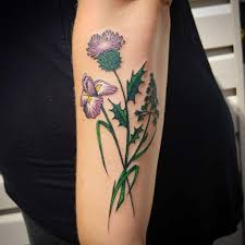 Black outline thistle with rose tattoo stencil. Top 65 Best Thistle Tattoo Ideas 2021 Inspiration Guide