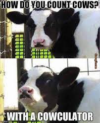 Of course, what is it? 13 Bad Jokes That Are Surprisingly Funny With Images Cheesy Jokes Corny Jokes Puns Jokes