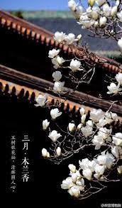 pin by clare feldman on rsvp chinese architecture chinese garden flower painting