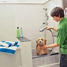 How To Plan A Dog Cleaning Station Dog Washing Station Dog Wash Dog Bath