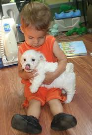 I do not ship puppies. Pin On So Cute