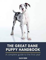 Über 7 millionen englischsprachige bücher. What Is A Great Dane Heat How To Recognize It How To Handle It