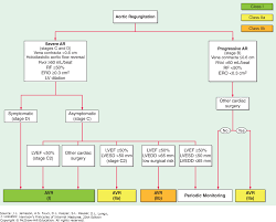 Aortic Regurgitation Harrisons Principles Of Internal