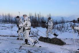 Die angehenden gebirgsjäger starten heute ihre fordernde ausbildung zum gebirgsspezialisten. Gebirgsjager Uben Wieder Am Polarkreis Reservistenverband