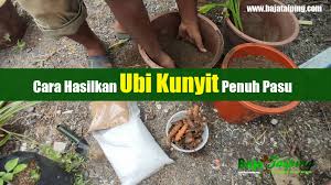 Misalnya, bloodmeal, bone meal, hides, hoofs dan tanduk adalah sumber penghasilan baja organik. Pembekal Baja Taiping Baja Tahi Ayam