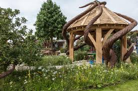 Check spelling or type a new query. How To Get Rid Of Ants In The Yard