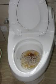 Well, they just don't have the flush pressure needed to completely push waste material through the drain. How To Unclog A Blocked Toilet Without A Plunger Blocked Toilet Clogged Toilet Unclog Toilet