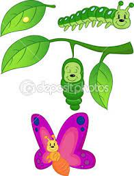 Butterfly Metamorphosis Butterfly Metamorphosis Silhouette Clip Art Metamorphosis