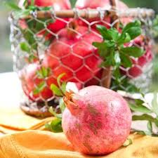 We did not find results for: Wonderful Pomegranate Trees For Sale Brighterblooms Com