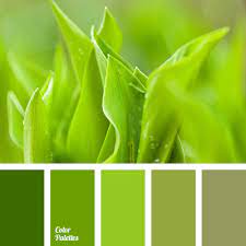 You can copy hex codes and even download a.png version of each palette. Light Green And Green Color Color Palette Ideas