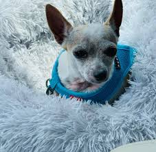 Marlene merritt, lac, dom(nm), acn. Marlene Zink Rd Ldn Home Facebook