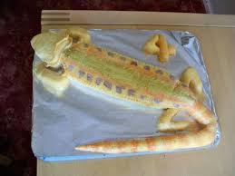 Yessssss Bearded Dragon Birthday Cake Reptile Forums Dragon Birthday Cakes Bearded Dragon Dragon Cakes