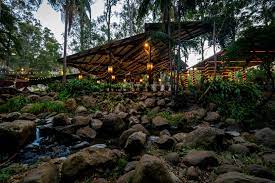 Mount Tamborine Wedding Packages Gold Coast Cedar Creek Lodges