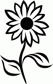 Black And White Line Art Sunflower Drawing Black And White Sunflower Drawing Black Sunflower Drawing Sunflower Black And White White Sunflowers