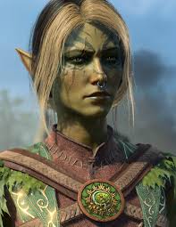 Druid or Tempest Cleric for beginner?