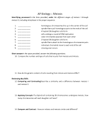 Meiosis review worksheet answer key pdf shows the number of misconceptions can be found. Ap Biology Meiosis