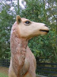 Great savings free delivery / collection on many items. Life Size Mike The Camel Statue Sculpture Big Hump Day Office Holiday Christmas The Kings Bay