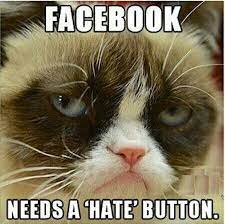 Facebook Funny Grumpy Cat Memes Grumpy Cat Grumpy Cat Meme