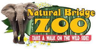 Natural Bridge Zoo Natural Bridge Zoo Virginia East Coast Family Vacations Natural Bridge Road Trip