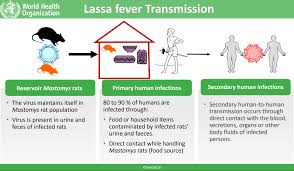 Image result for Lassa Fever