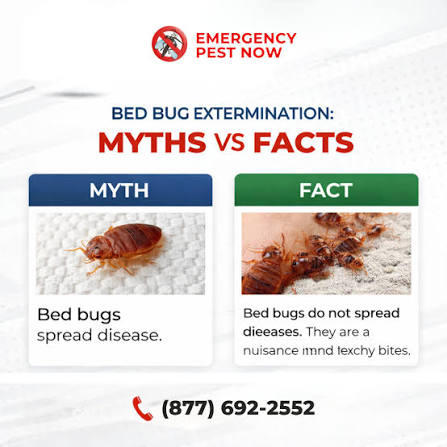 Bed Bug Extermination: MYTHS vs FACTS What You Need to Know! One of the  biggest fears people have about bed bugs is that they carry and spread  diseases but that's actually a