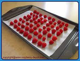 We did not find results for: Freezing Raspberries How To Freeze Raspberries Whole