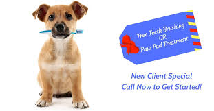 Mobile cat grooming and mobile dog grooming in apex, cary, chapel hill, clayton, durham, fuquay varina, garner, holly springs, knightdale, louisburg, morrisville, new hill, raleigh, rolesville, wake forest, wendell, willow spring. Specials Aussie Pet Mobile West Indianapolis