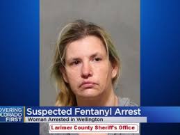 1 arrested after Northern Colorado Drug Task Force seizes suspected  fentanyl, meth