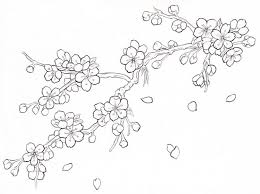 Gambar sketsa bunga yang simple. 49 Gambar Sketsa Bunga Matahari Mawar Tulip Sederhana