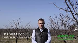 Facultatea de horticultură iași are între specializările sale și peisagistica, respectiv amenajarea parcurilor, grădinilor și spațiilor urbane. Inginer Horticultor Cosmin Popa Absolvent Al FacultÄƒÈ›ii De Horticultura IaÈ™i PromoÈ›ia 2009 Youtube