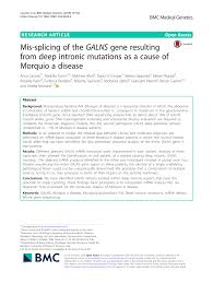 Altre supermercati offerte vicino a minimarket di sibilio anna: Pdf Mis Splicing Of The Galns Gene Resulting From Deep Intronic Mutations As A Cause Of Morquio A Disease