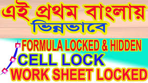 How To Protect Lock Unprotected Excel Formula Cell Sheet Workbook Exce Excel Formula Workbook Excel