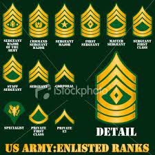 Warrant officers are classified above enlisted army personnel yet not as high up as. Huge Lot Of Modern Rank Insignia Army And Usaaf Army Medic Army Ranks Military Ranks