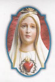 Teresa Provenzano's Instagram, Twitter & Facebook