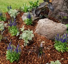 Evergreen lawn care offers lawn care packages so you can bundle your lawn services and save time and money in gainesville and jonesville, fl. Gainesville Landscape Lawn Care Evergreen Lawn Care