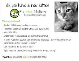 Pin By Fix The Nation Desexing And Re On Pet Desexing Rehoming Kitten Things To Sell