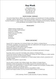 1 Media Planner Resume Templates Try Them Now Myperfectresume