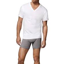 Hanes Hanes Mens Freshiq Comfortsoft White V Neck T