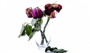 We did not find results for: Dear Mom I Miss You Mother Death Poem