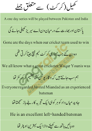 Sentence Of Cricket Good Vocabulary Words English Phrases Sentences Learn English Words