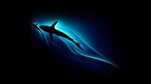 Dwonload free baby shark dance hd wallpaper.top 30 baby. Baby Shark Wallpaper Kolpaper Awesome Free Hd Wallpapers