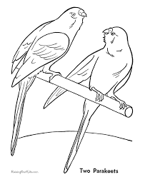 Two parakeet mating coloring page to color, print and download for free along with bunch of favorite parakeet coloring page for kids. Budgie Coloring Pages Coloring Home