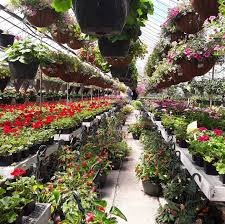 11 ferguson jobs available in pewaukee, wi on indeed.com. Schulte S Microfarm Greenhouses And Fun Center Pewaukee 634 Photos Garden Center 811 E Wisconsin Ave Pewaukee Wi 53072