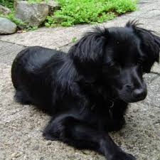 Download your search result mp3, or mp4 file on your mobile, tablet, or pc. Lirik Lagu Mengintai Dari Tirai Kamar Exist